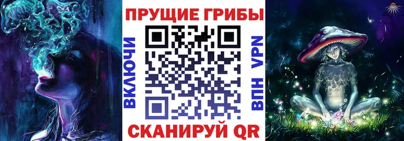 Псилоцибиновые грибы Cubensis  Томари 
